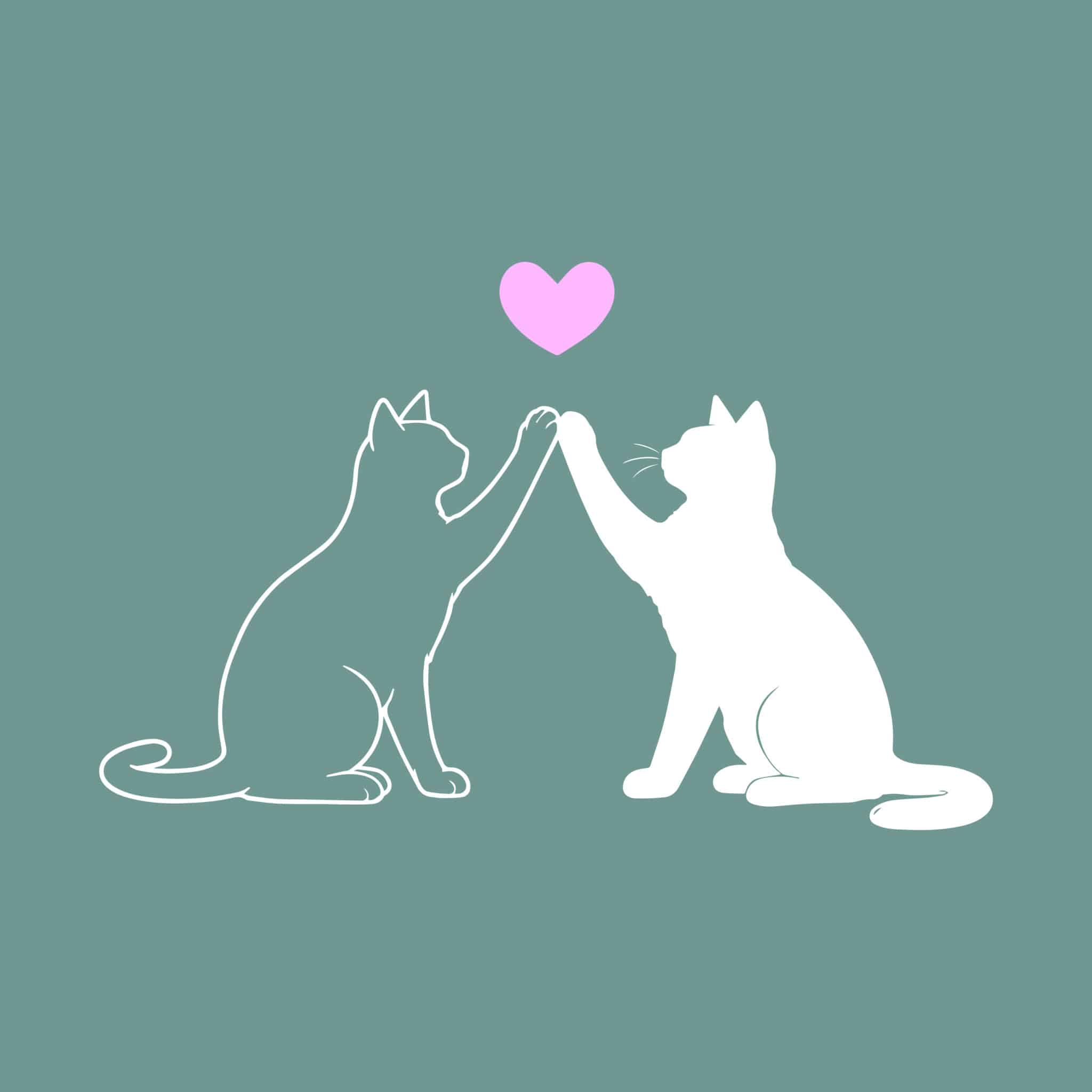 Secondary Product Image