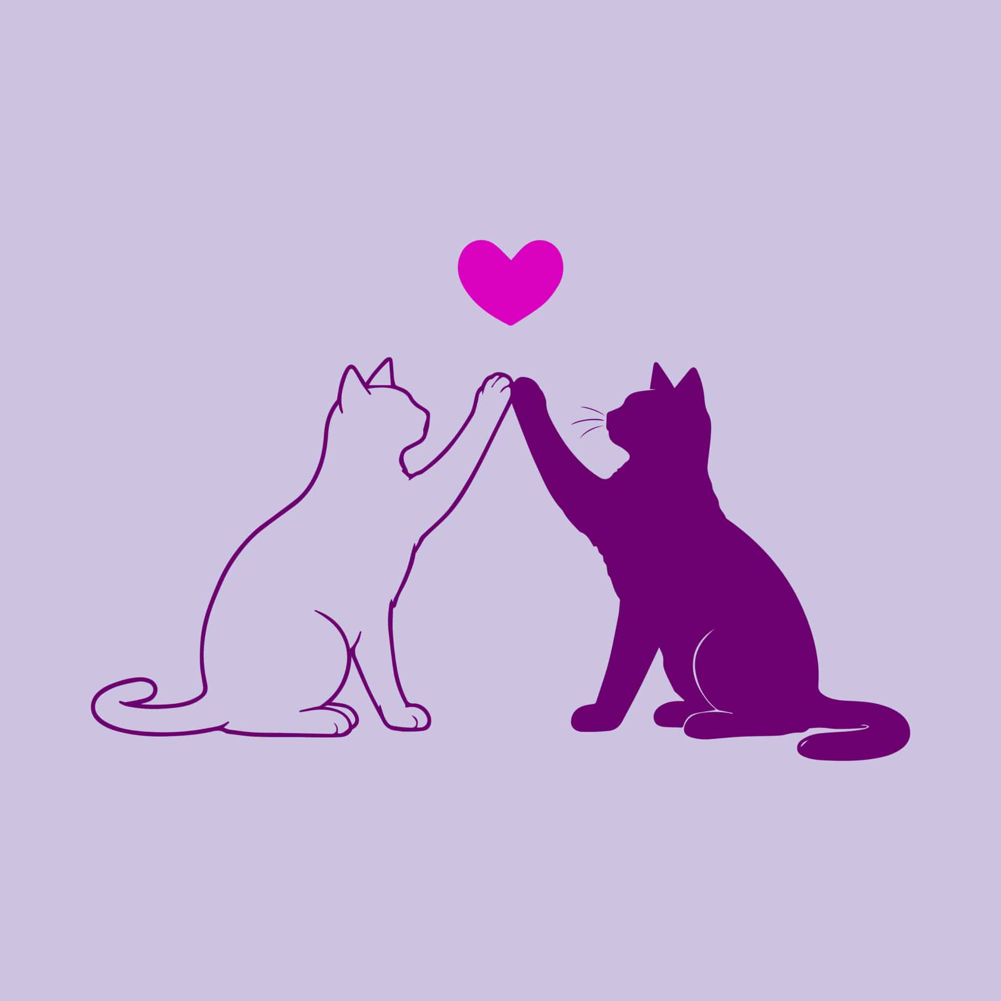 Secondary Product Image