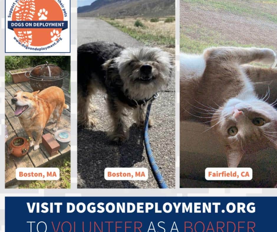 New Network for Military Pets