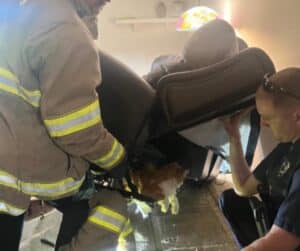 Firefighters Rescue Cat