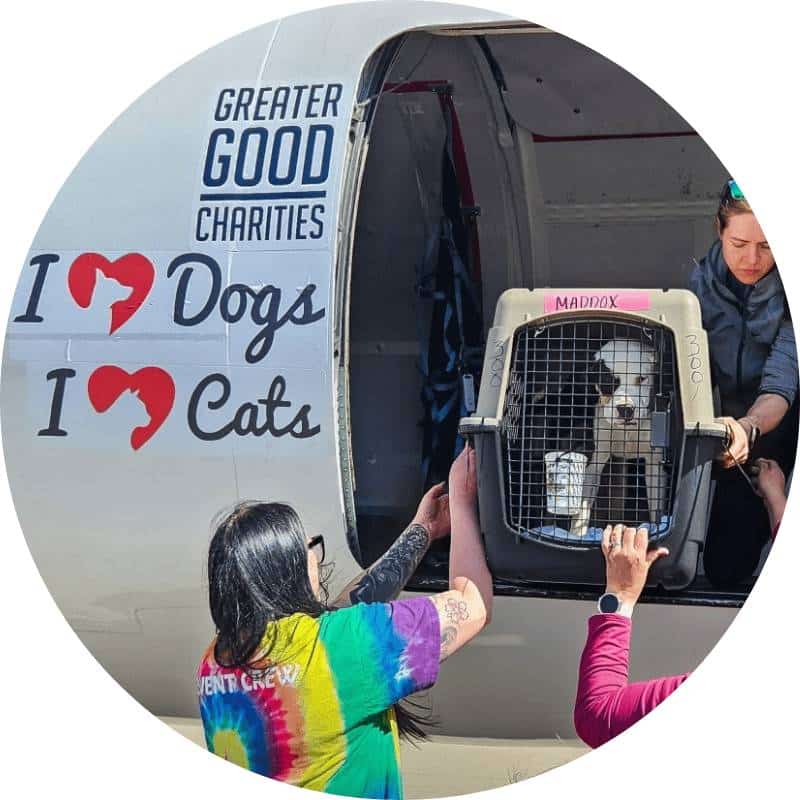 Success Stories Products