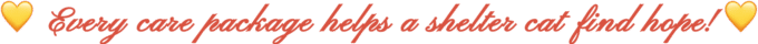 text - web text - web