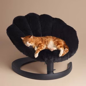 Tavo Pets Shell Swaying Lounger Dog & Cat Bed