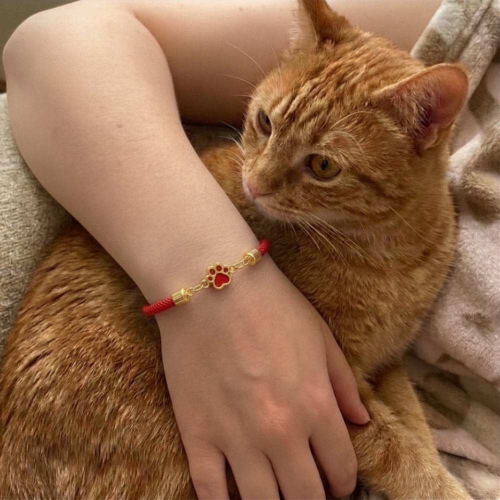 Secondary Product Image