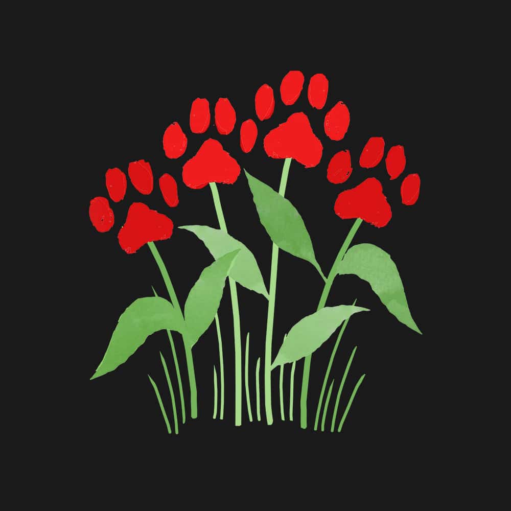 Secondary Product Image