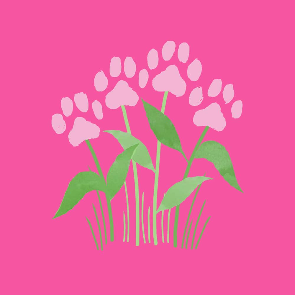 Secondary Product Image