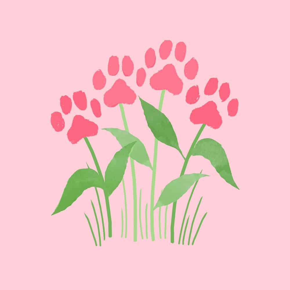 Secondary Product Image