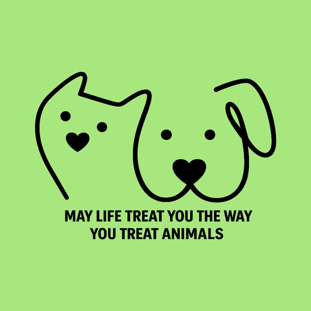 May Life Treat You The Way You Treat Animals Standard Tee Lime - Image 2