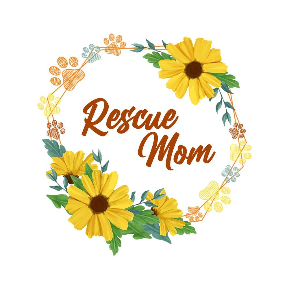 Secondary Product Image