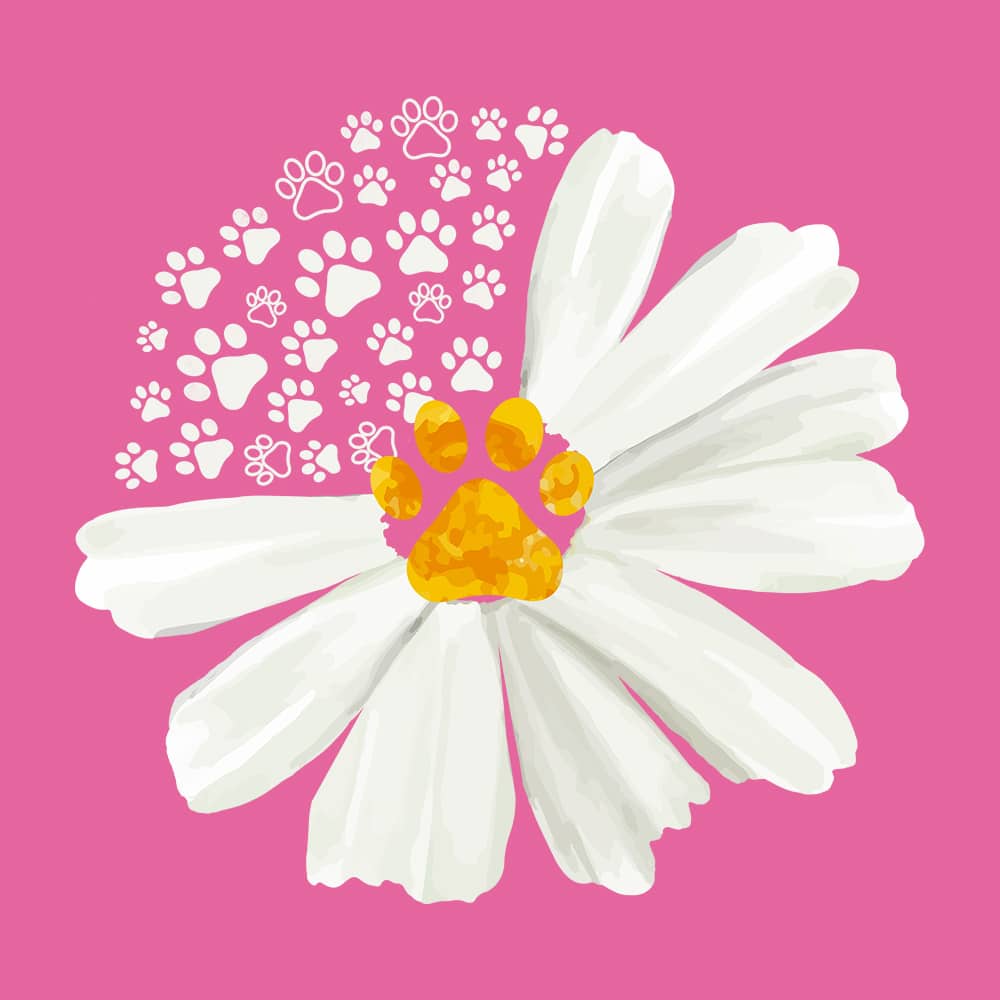 Secondary Product Image