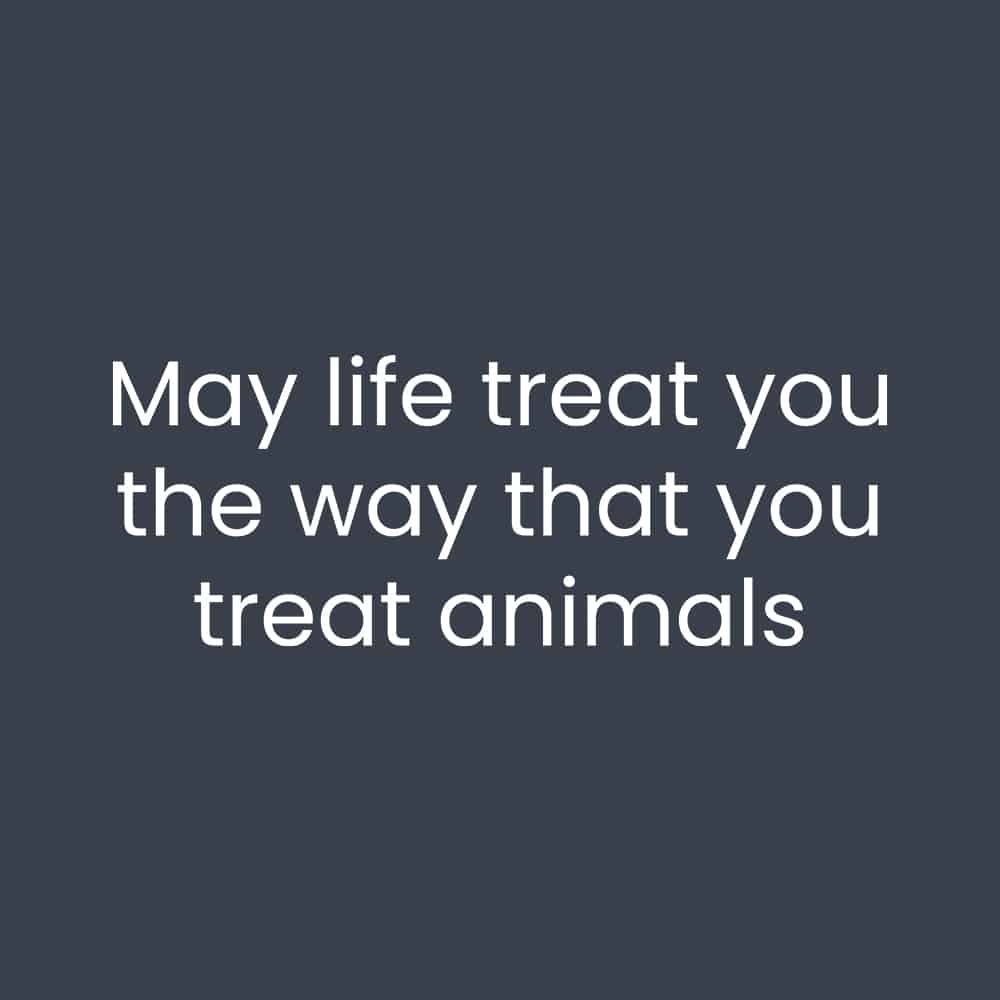 Secondary Product Image