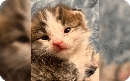 Group 288 (1) Group 288 (1)