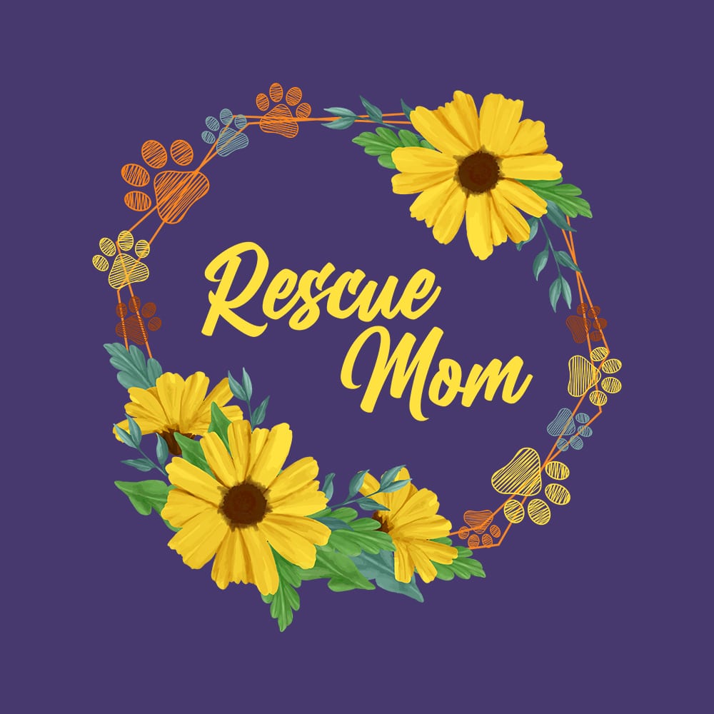 Secondary Product Image