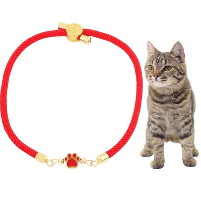 Forever Paw Adjustable Bracelet- Red