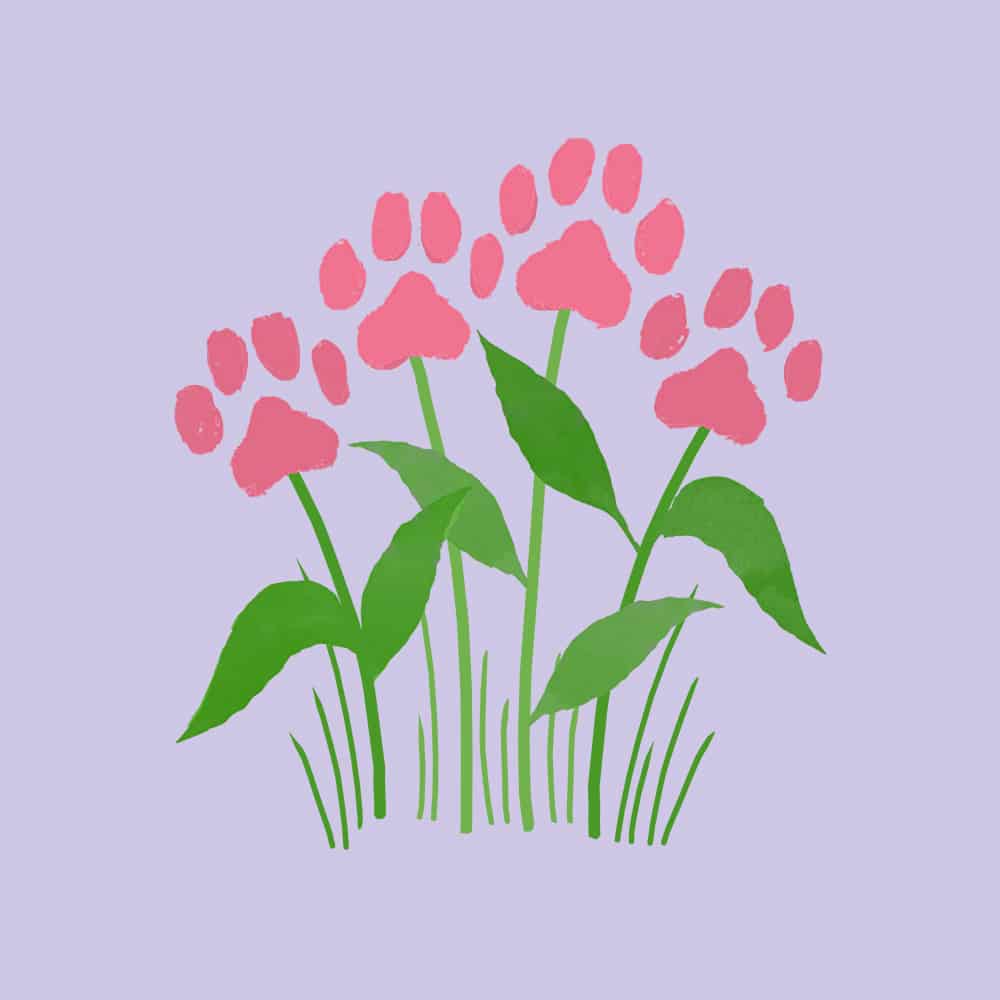 Secondary Product Image