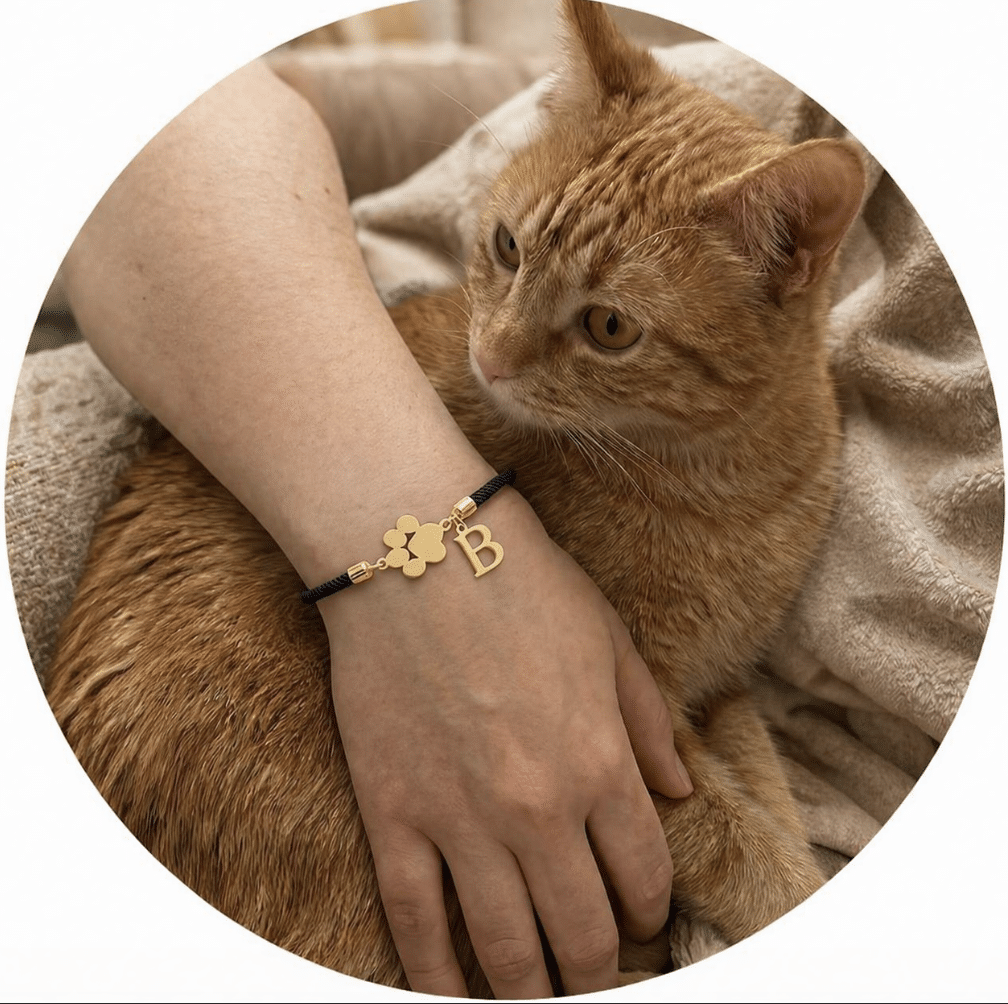 Shop All Jewelry Products