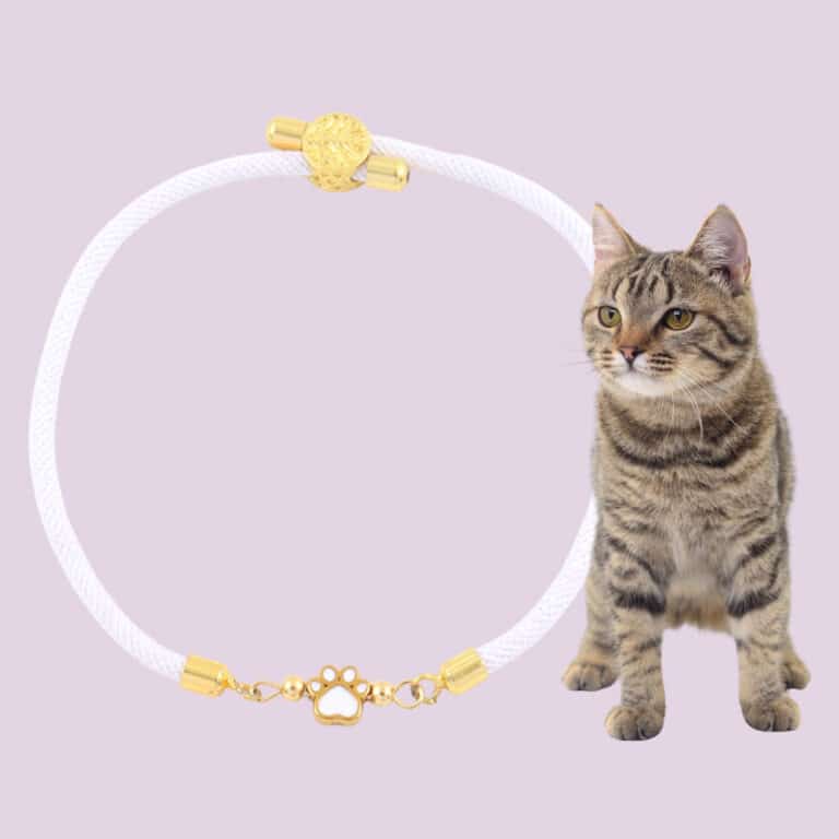 Forever Paw Adjustable Bracelet- White
