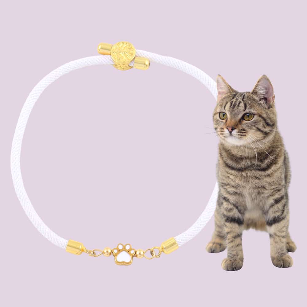 Forever Paw Adjustable Bracelet- White