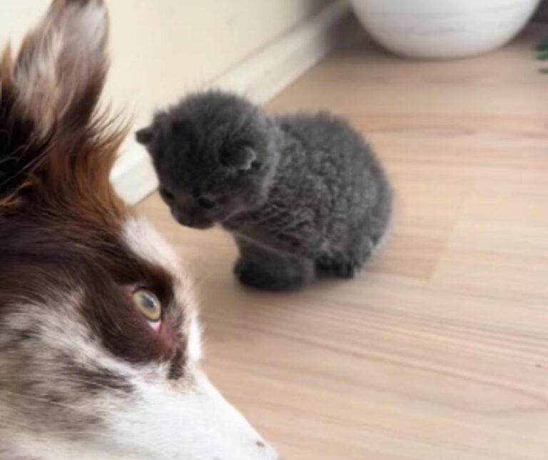Playing Together