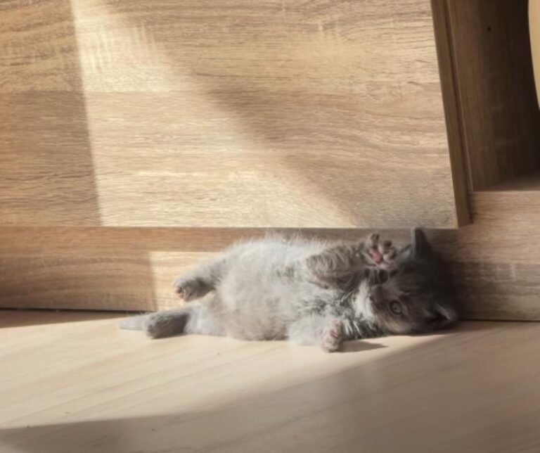 Chili and Mimi