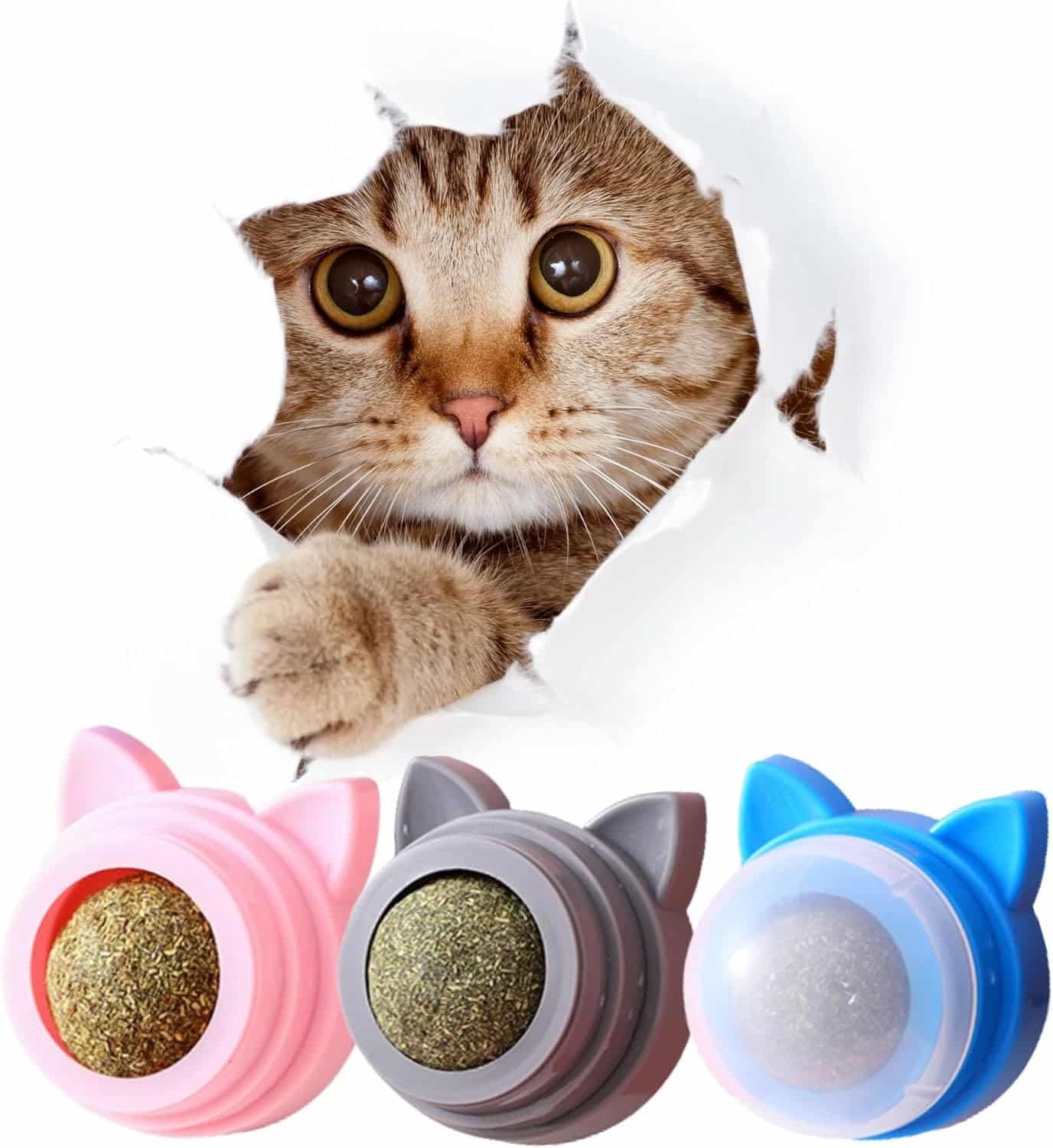 XanderPets Catnip Balls That Stick On Wall