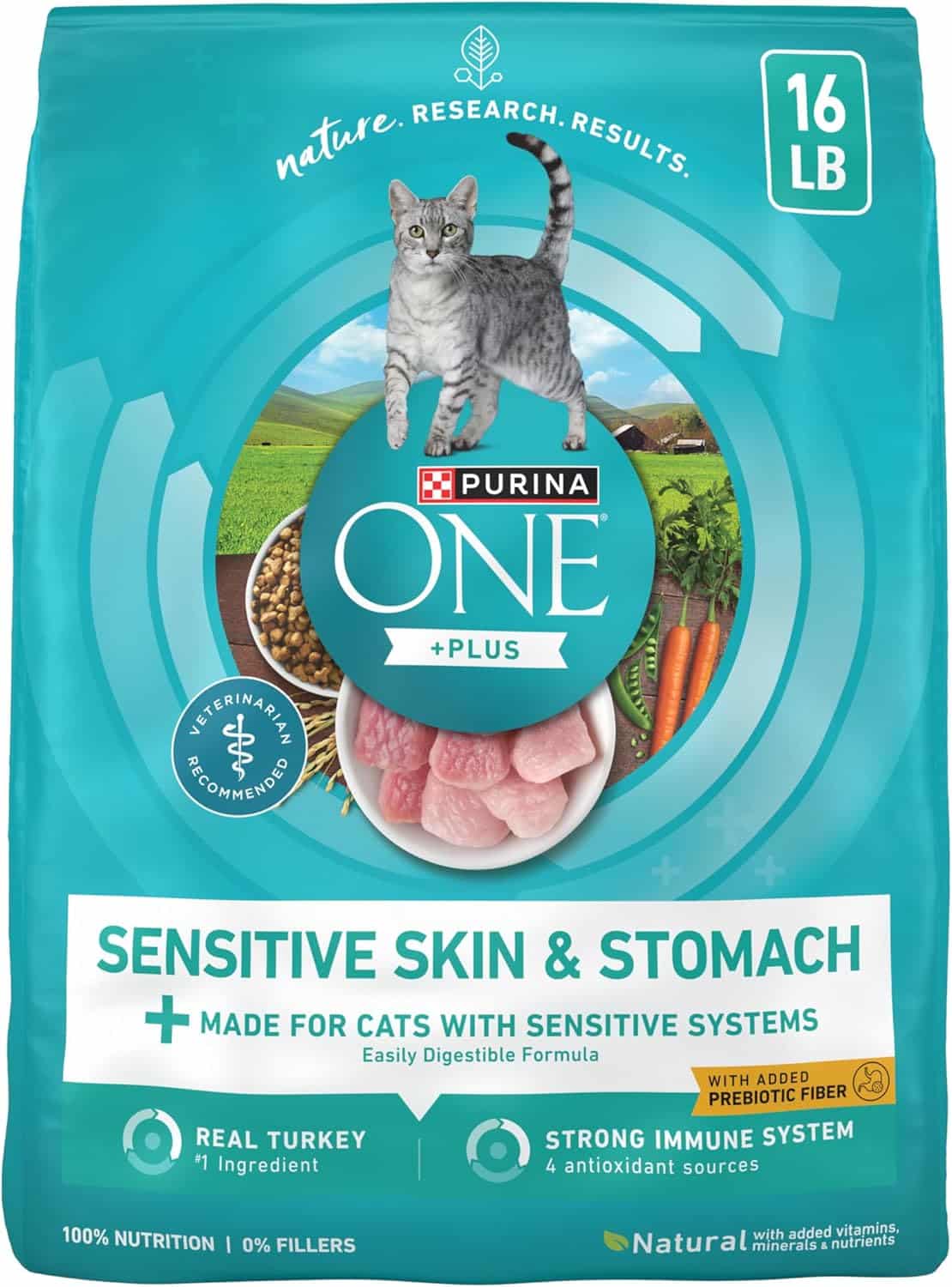 Purina ONE Sensitive Skin and Stomach Dry Cat Food