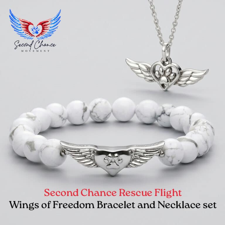 Second Chance Movement! Wings of Freedom Necklace and Bracelet Set