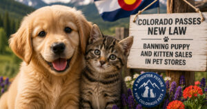 PetWireDaily — Colorado Passes New Law Banning Puppy and Kitten Sales in Pet Stores