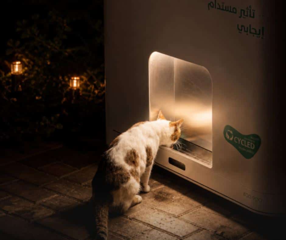 Feeding station pilot program