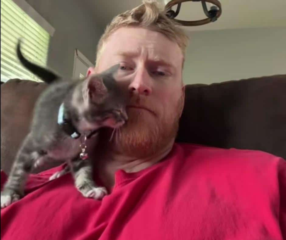 Cute Carlos Making Biscuits