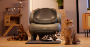PetWireDaily — Neakasa M1 Plus Review: The Open-Top Self-Cleaning Litter Box That’s Safe for Cats
