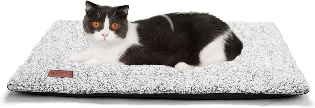 Self warming cat bed with cat lounging on sherpa surface