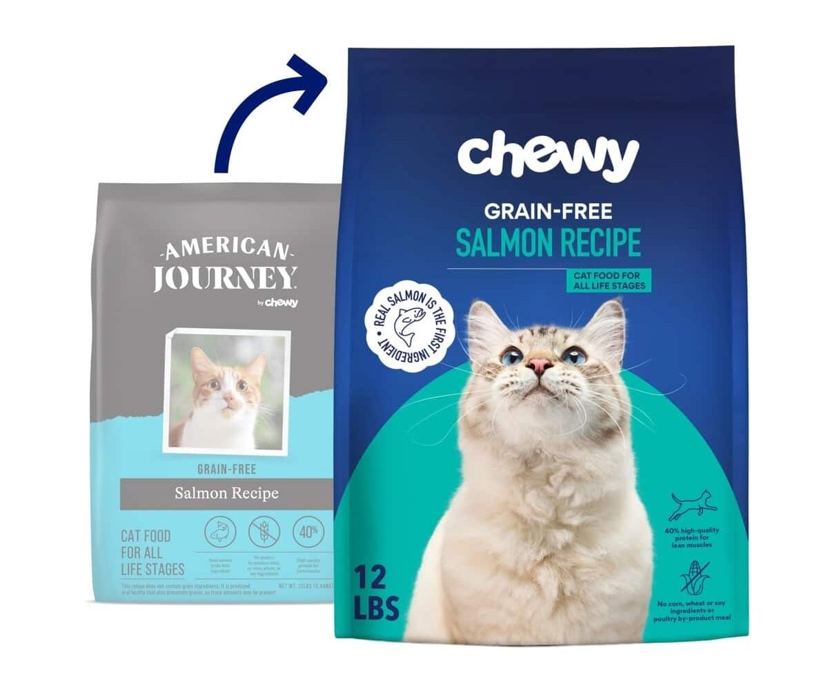 Chewy Made Salmon Recipe Grain-Free Dry Cat Food