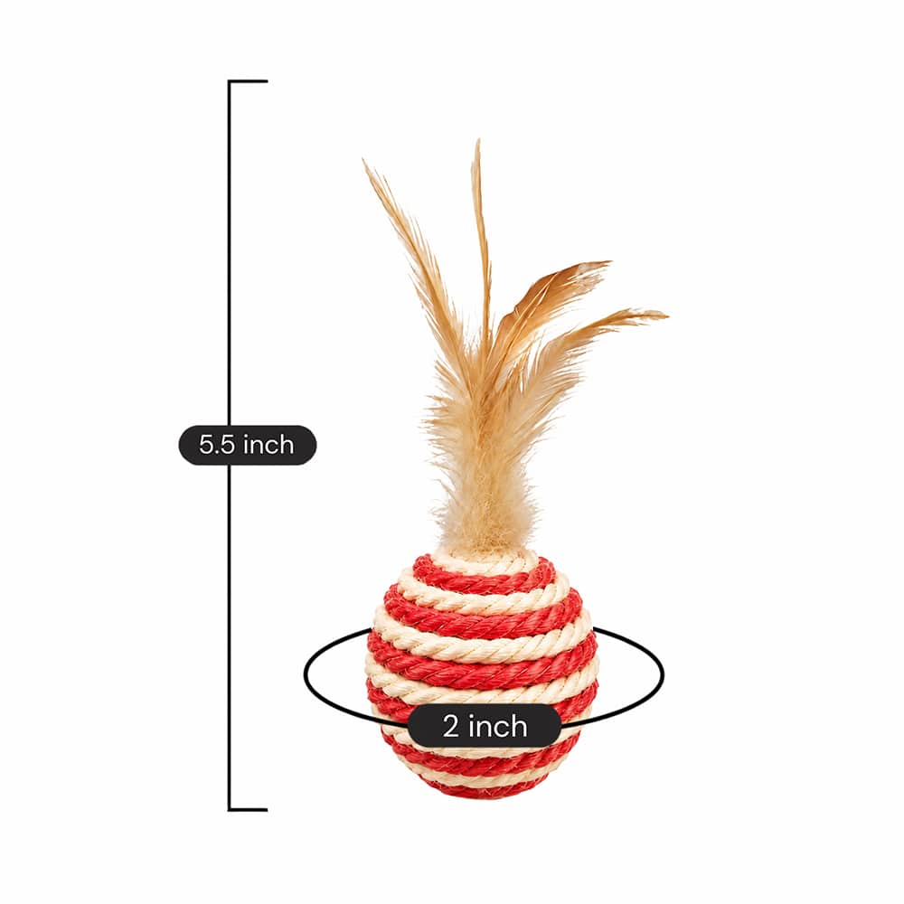 Secondary Product Image