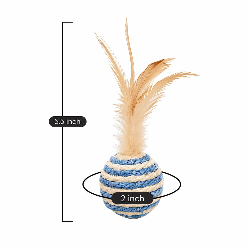 Secondary Product Image