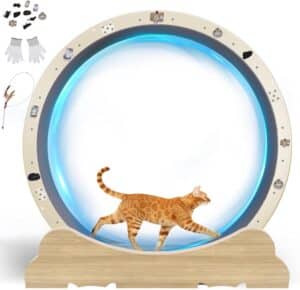 GTRACING Cat Wheels, 40" Diameter