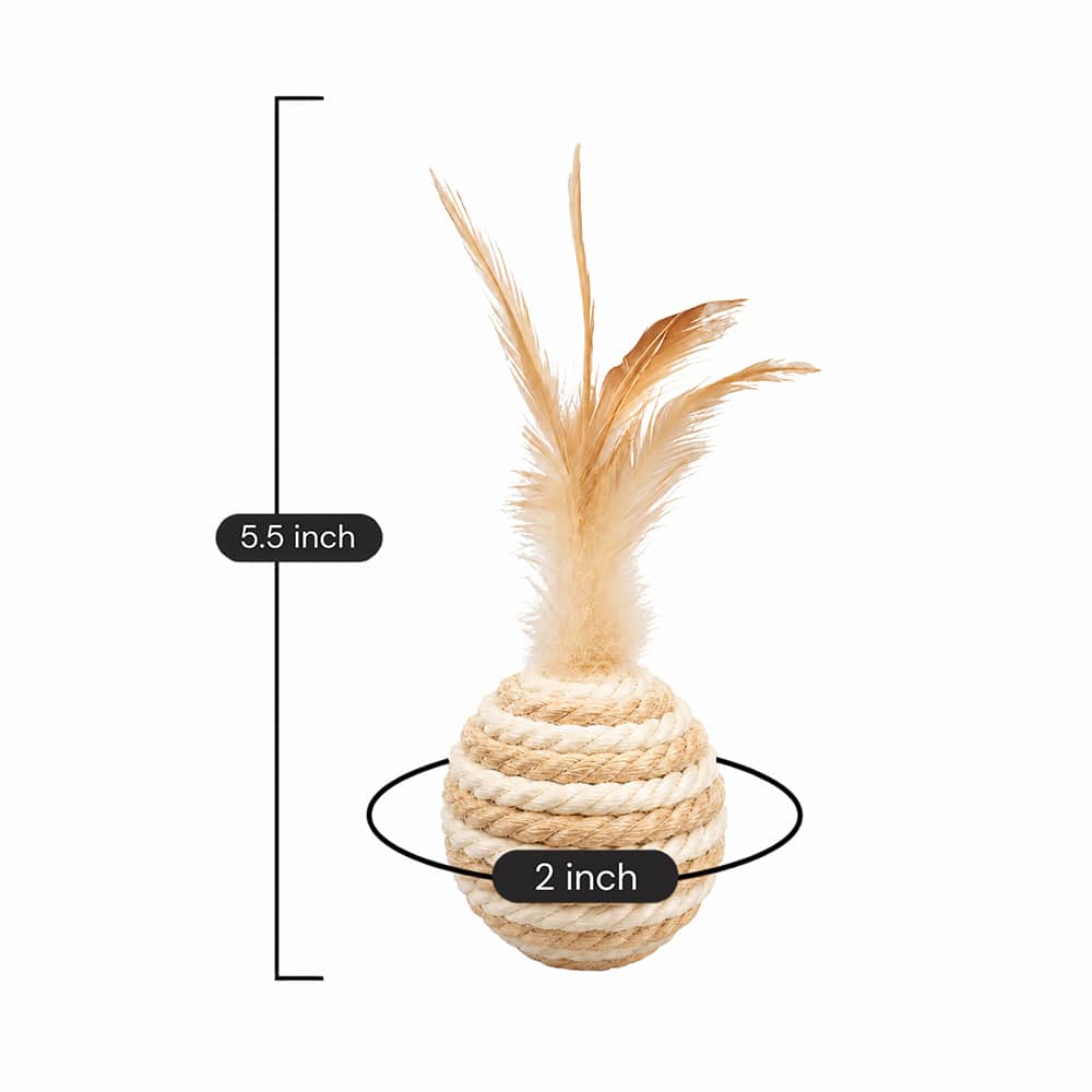 Secondary Product Image
