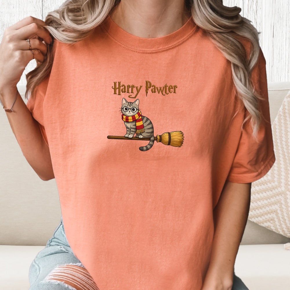 Comfort Colors Harry Pawter Broom Vintage Washed Tee - Terracotta