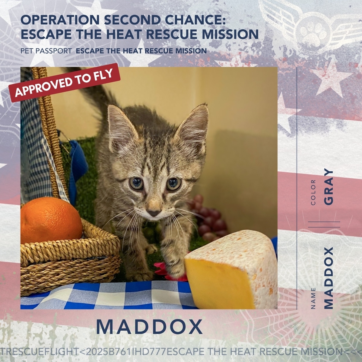 June 2026 Rescue Flight Pet Passports - Maddox