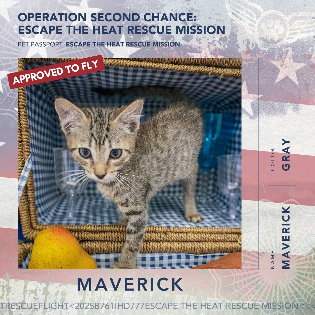 June 2026 Rescue Flight Pet Passports - Maverick