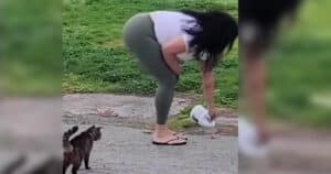 PetWireDaily — Woman Charged After Admitting to Pouring Bleach on Cat Food, Police Say