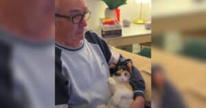 PetWireDaily — Grandpa Spent 80 Years Saying “No Cats” — Then a Tiny Calico Kitten Changed His Heart