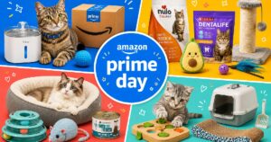PetWireDaily — Cat Parents Are Already Shopping These Early Prime Day Deals!