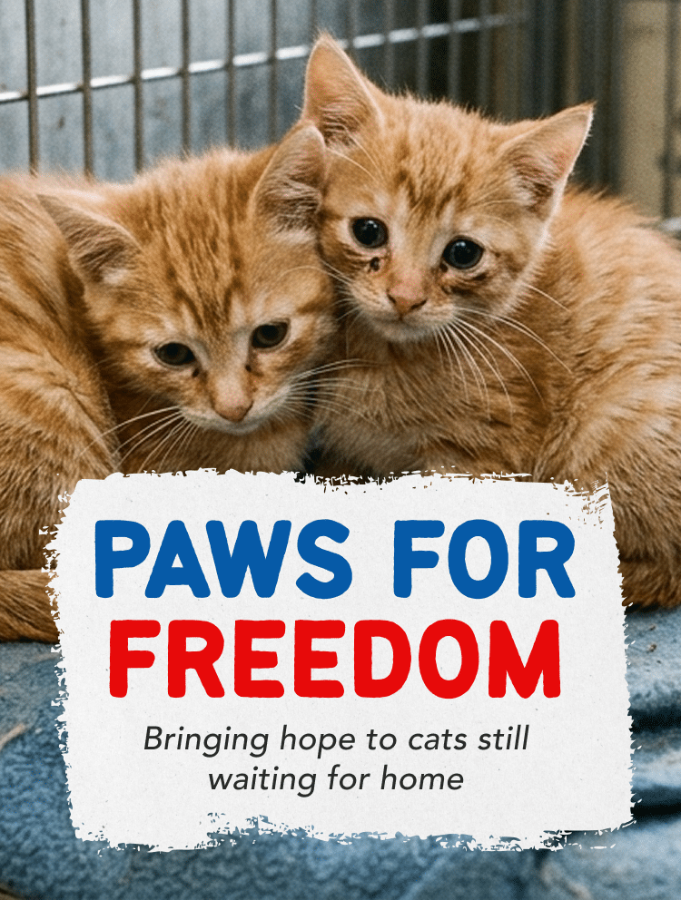 pawsforfreedom-mob