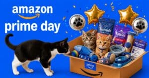 PetWireDaily — Last Chance! These Amazon Prime Day Cat Deals End Tonight