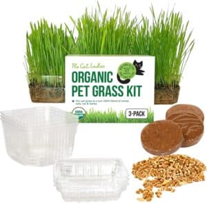 The Cat Ladies Cat Grass for Indoor Cats