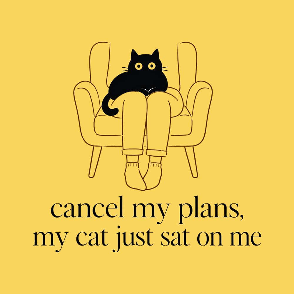 Cancel My Plans My Cat Just Sat On Me Standard Tee Yellow - Image 2