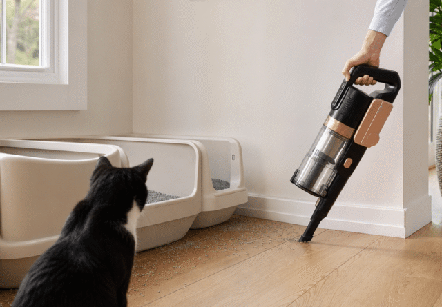 Crevice tool vacuuming scattered cat litter along a baseboard beside two litter boxes while a tuxedo cat watches