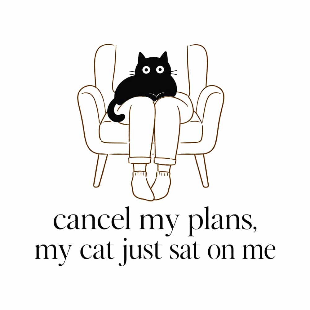 Cancel My Plans My Cat Just Sat On Me Standard Tee White - Image 2