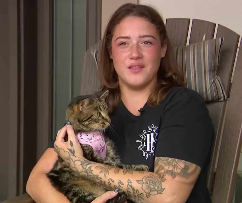 Cat back home